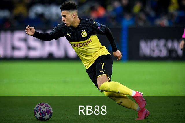 RB88公司简介